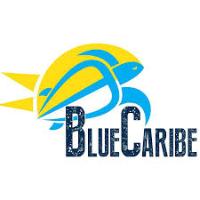 Blue Caribe Tours Codes de Réduction 2024